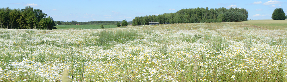 Instytut Ochrony Krajobrazu Pomorza